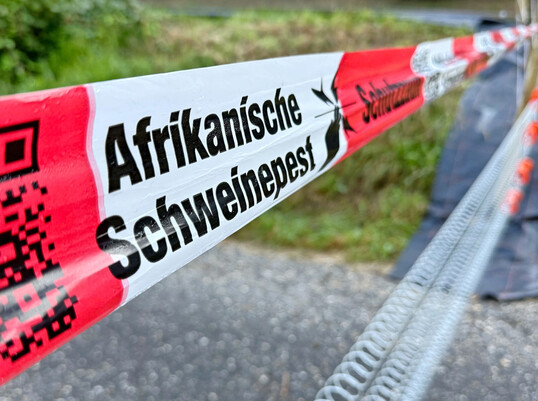 Manahmen um die Verbreitung der Afrikanischen Schweinepest zu verhindern.