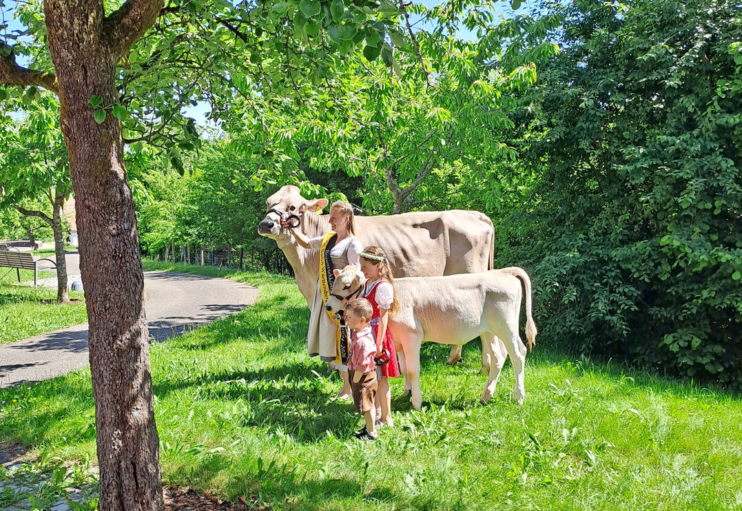 Die Vorbereitungen zur deutschen Brown Swiss Bundesjungzchterschau sind angelaufen.