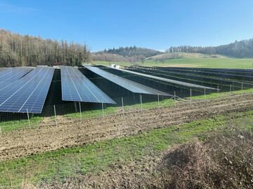 Fotovoltaik (PV)-Freiflchenanlage in der Natur.