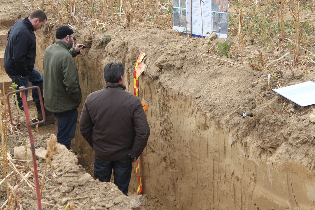 Die Durchwurzelung des Bodens konnten Interessierte aus nächster Nähe begutachten.