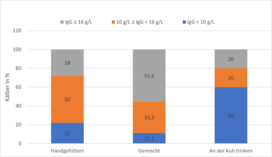 Den höchsten Immunglobulingehalt (IgG) wiesen Kälber auf, die an der Kuhmutter Kolostrum aufnehmen konnten und die zusätzlich getränkt wurden.
