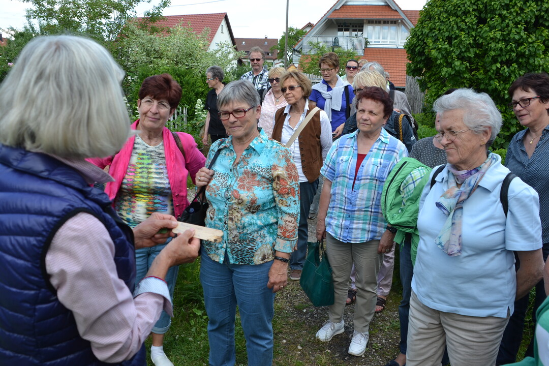 Gartenfahrt 19.6.2015 Garten Marianne Gekeler Rmerstein-Bhringen