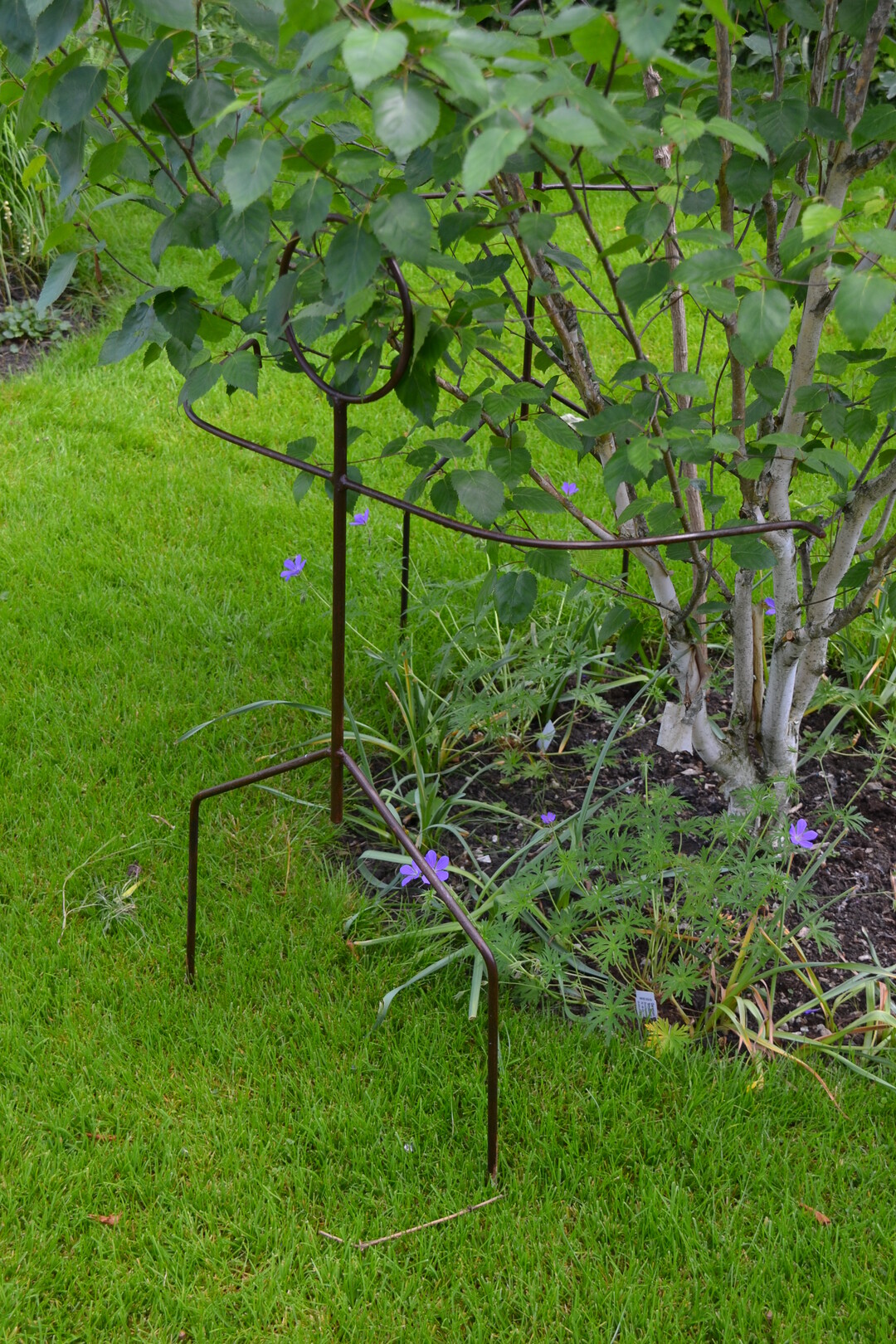 Gartenfahrt 19.6.2015 Garten Marianne Gekeler Rmerstein-Bhringen