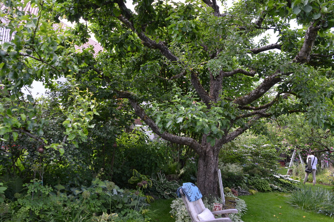 Gartenfahrt 19.6.2015 Garten Marianne Gekeler Rmerstein-Bhringen