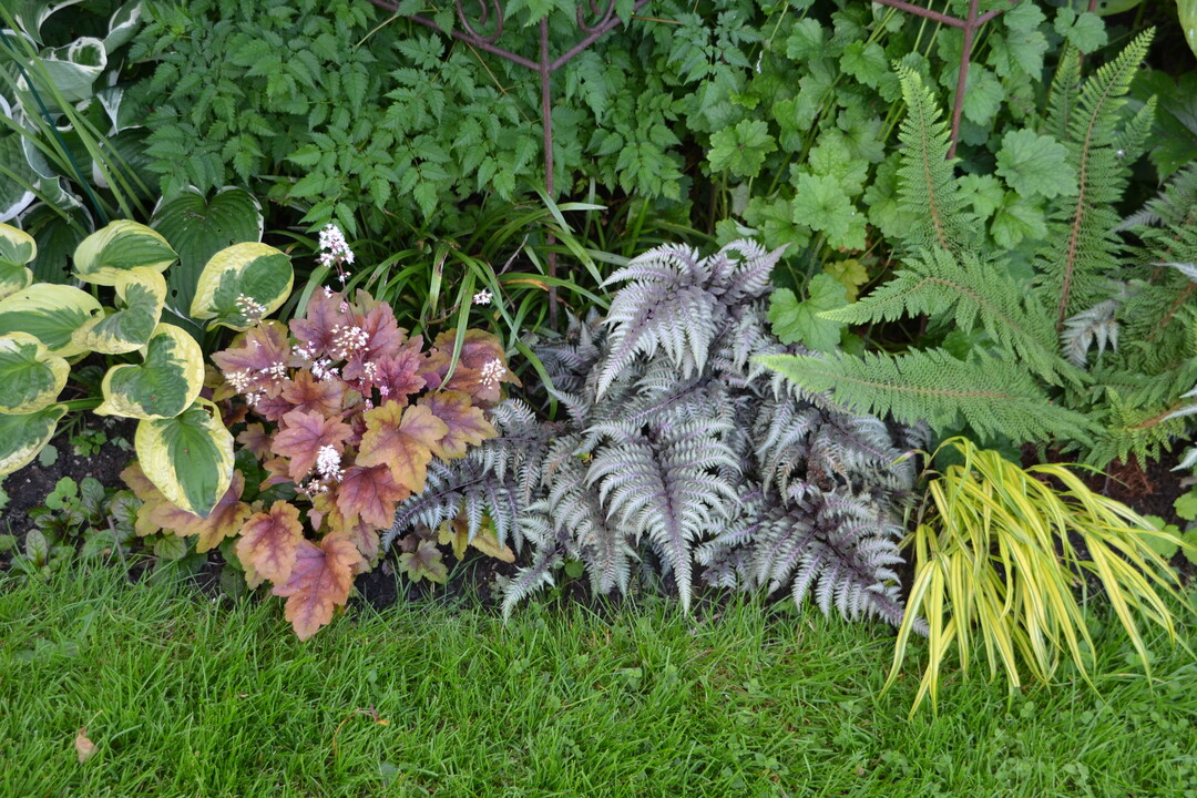 Gartenfahrt 19.6.2015 Garten Marianne Gekeler Rmerstein-Bhringen