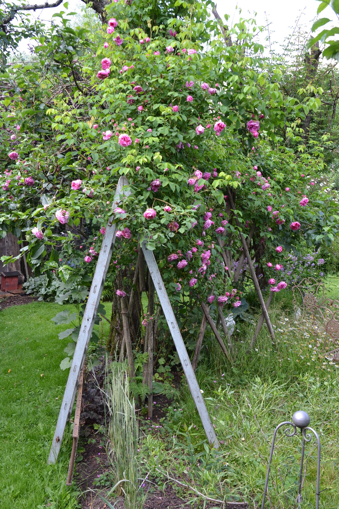 Gartenfahrt 19.6.2015 Garten Marianne Gekeler Rmerstein-Bhringen