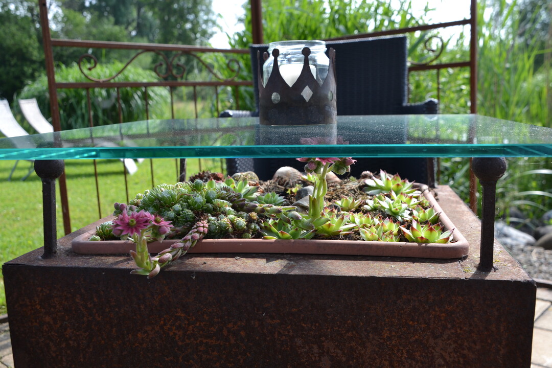 Gartenfahrt 19.6.2015 Garten Daiber Alleshausen