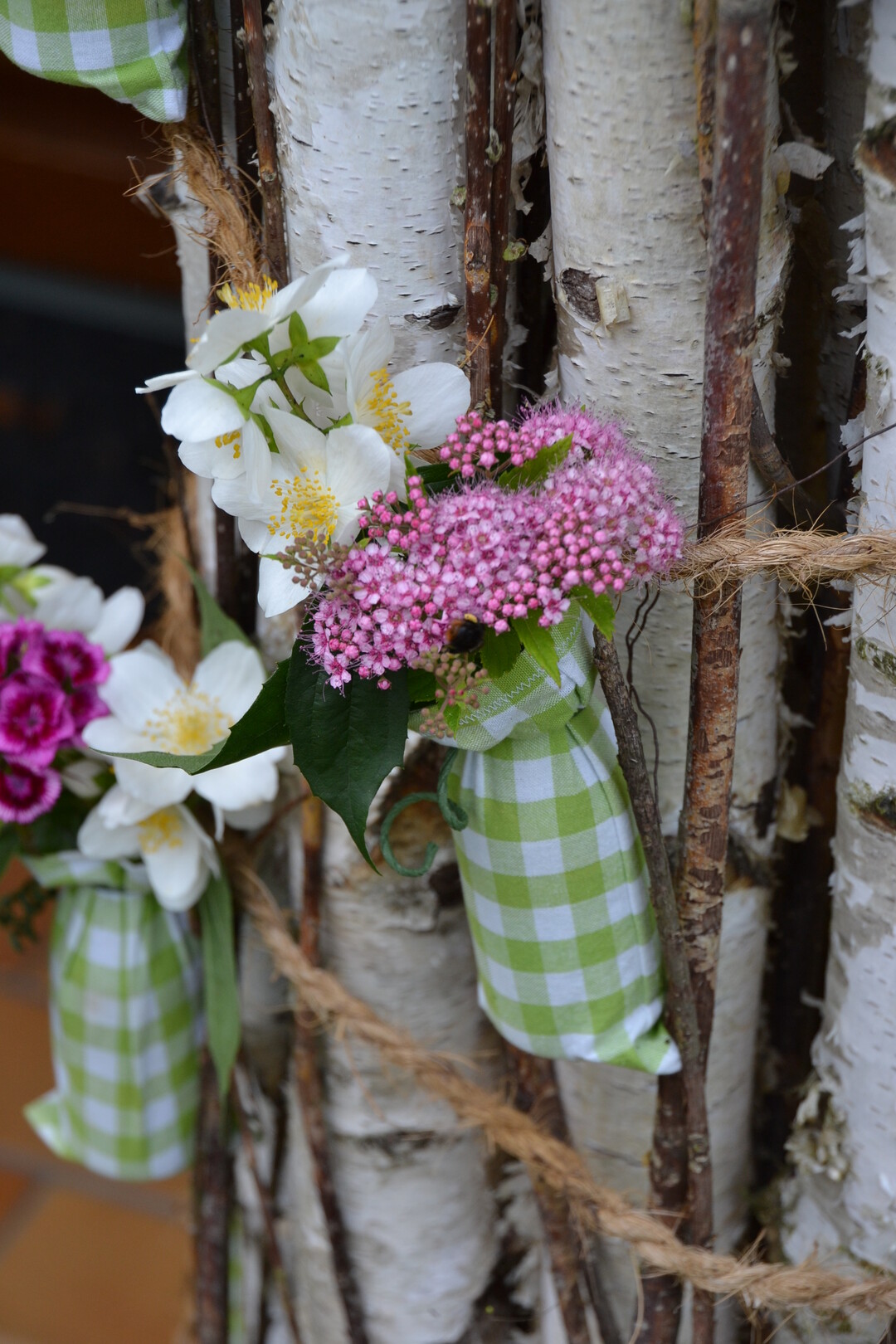 Gartenfahrt 19.6.2015 Garten Daiber Alleshausen