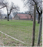 Knotengeflecht mit 1,4 m Höhe: Durch einen Vorsatzelektrozaun auf 20 cm Höhe könnte die Einzäunung wolfssicherer gemacht werden.