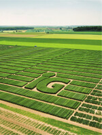 Elf neue Getreidesorten wurden zugelassen.