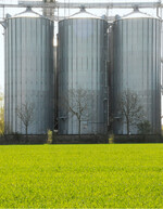 Die Preise für Getreide und Ölsaaten sind hoch. Für eine gute Ernte muss aber auch das Wetter mitspielen.