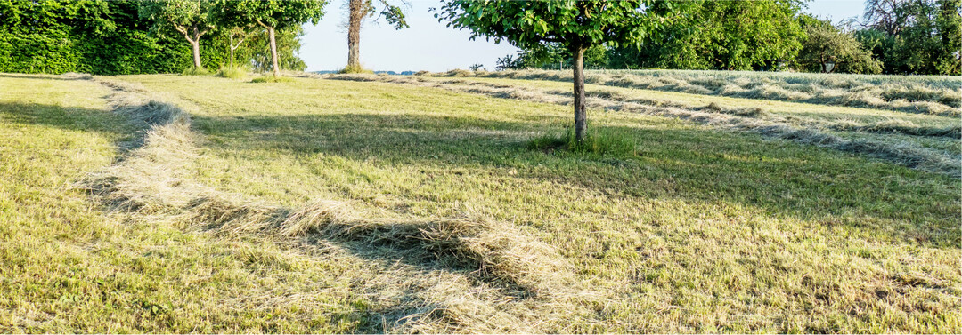 Agrar-Koppelprodukte wie Landschaftspflegematerial können für die Biogaserzeugung eingesetzt werden.