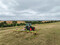 Dauergrnland.