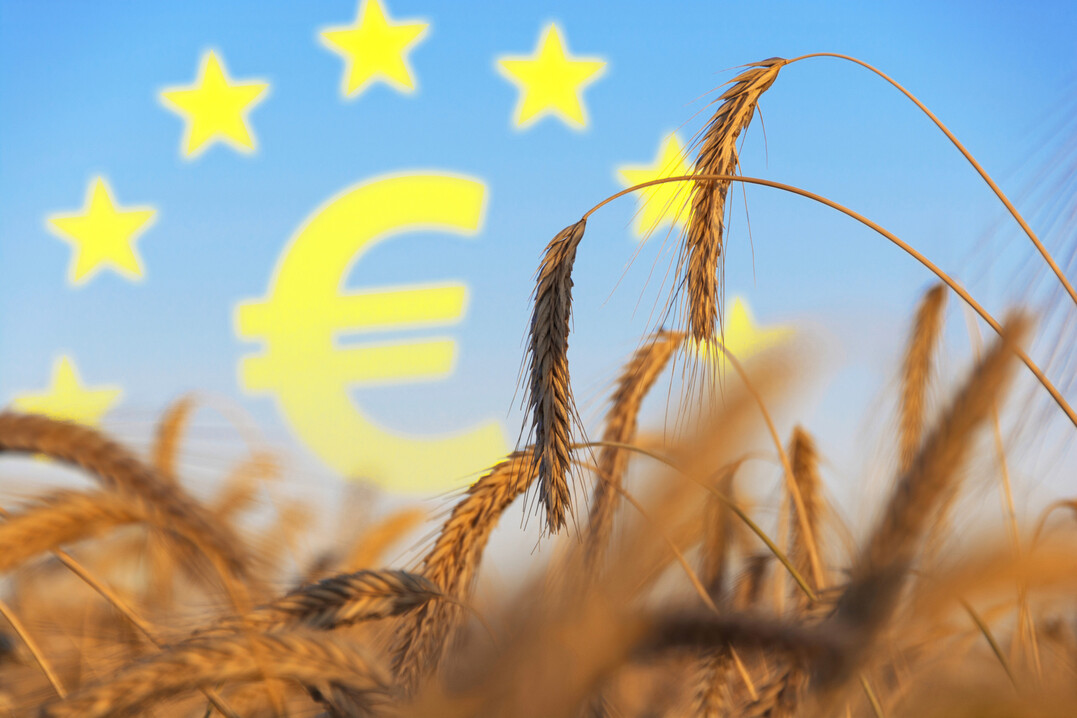 Wie geht es mit der Gemeinsamen Agrarpolitik in Europa weiter?