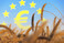 Wie geht es mit der Gemeinsamen Agrarpolitik in Europa weiter?