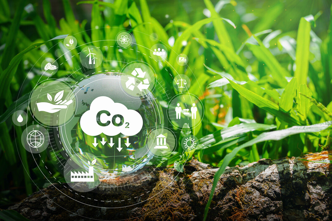 Konzepte zur CO2-Bindung sind gesucht. 