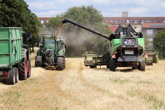 Die deutsche Gerstenernte gl�nzt dieses Jahr mit guten Ertr�gen. Wo es allerdings zu wenig geregnet hat, bleiben die Ertr�ge gedr�ckt.  