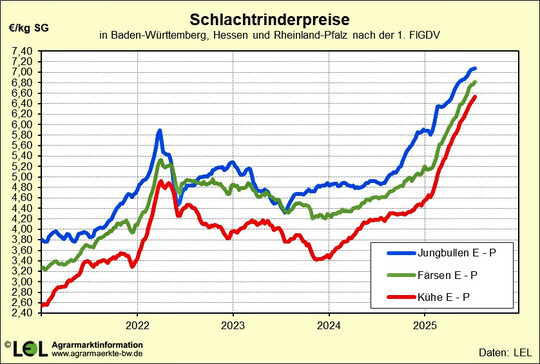 Der fulminante Preisanstieg in den vergangenen Monaten knnte in diesen Tagen seinen Hhepunkt erreichen. 