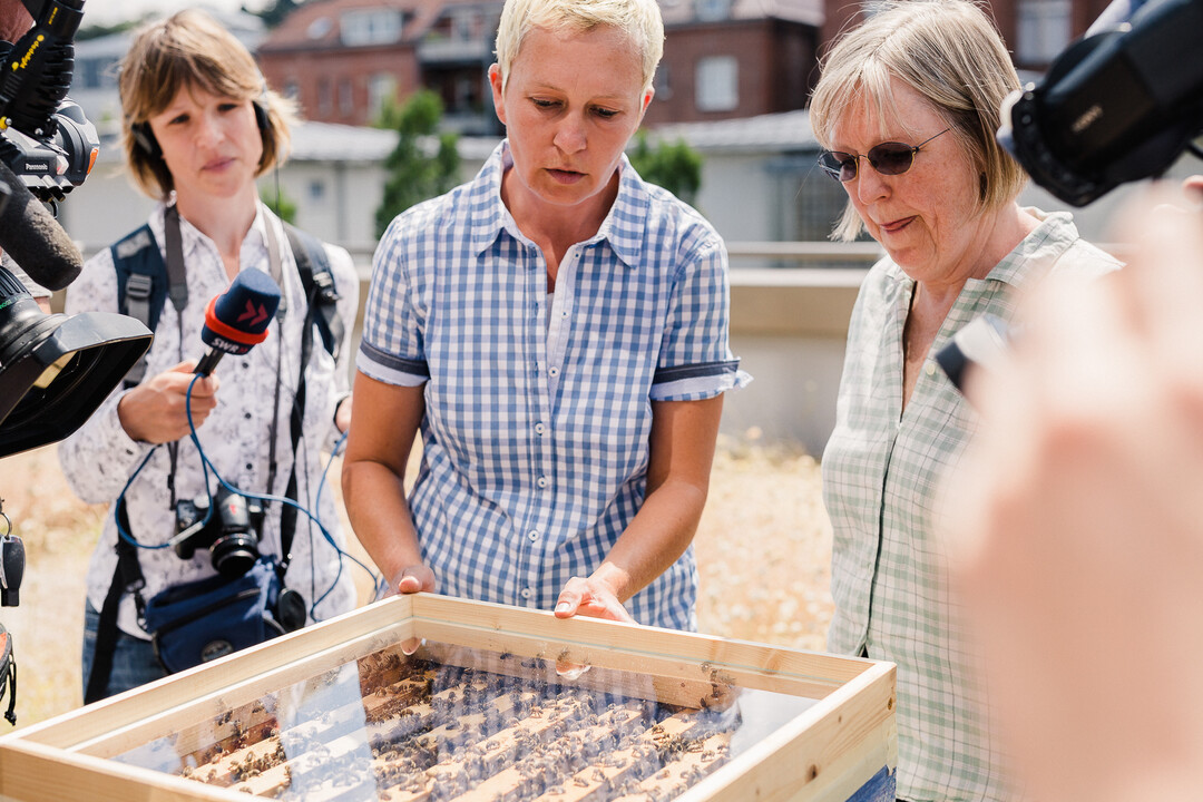 Maren Schwarz beobachtet die Bienen während der Behandlung
