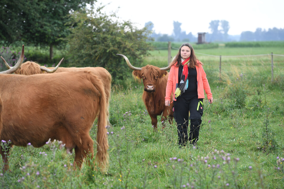 Tina Niess pflegt den Kontakt zu den Tieren. Das so aufgebaute Vertrauen erleichtert das
Herdenmanagement.