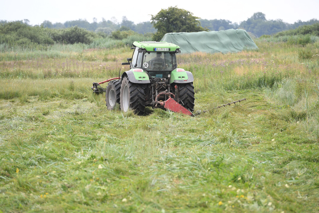 Die Bewirtschaftung nasser Wiesen und Weideflächen bedeutet einen größeren Arbeits- und Technikaufwand.