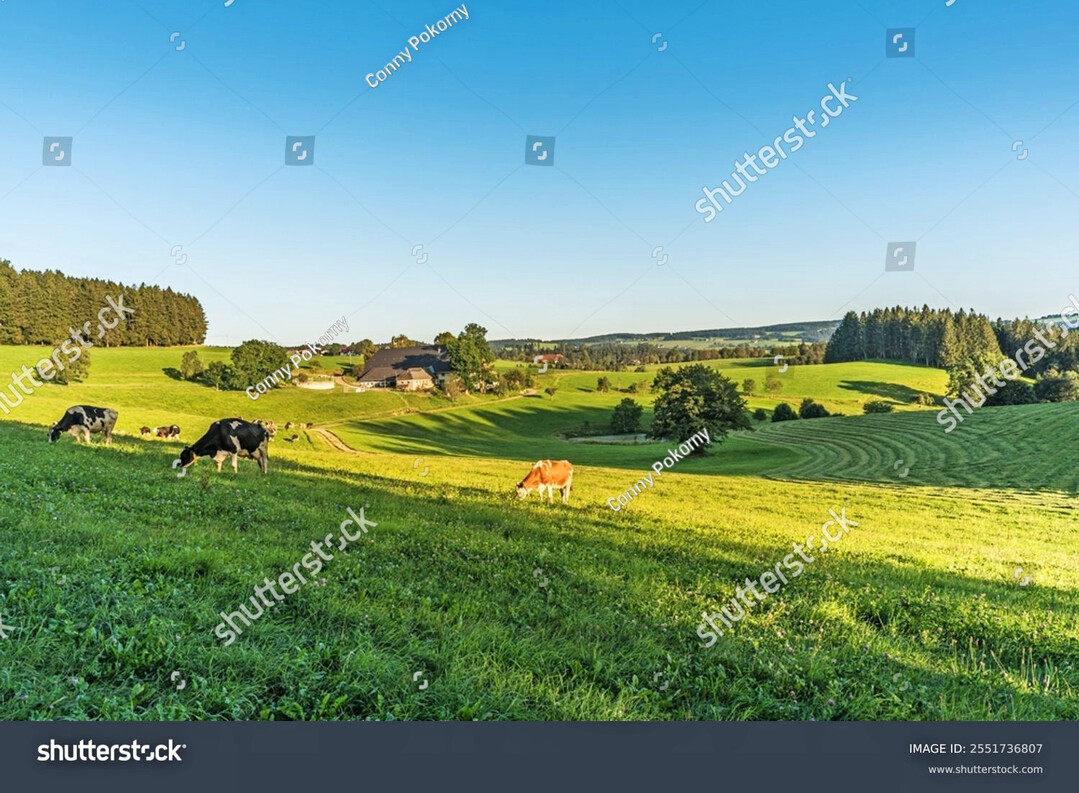 Sicht auf einen Bauernhof