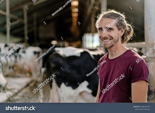 Junger Mann steht im Kuhstall