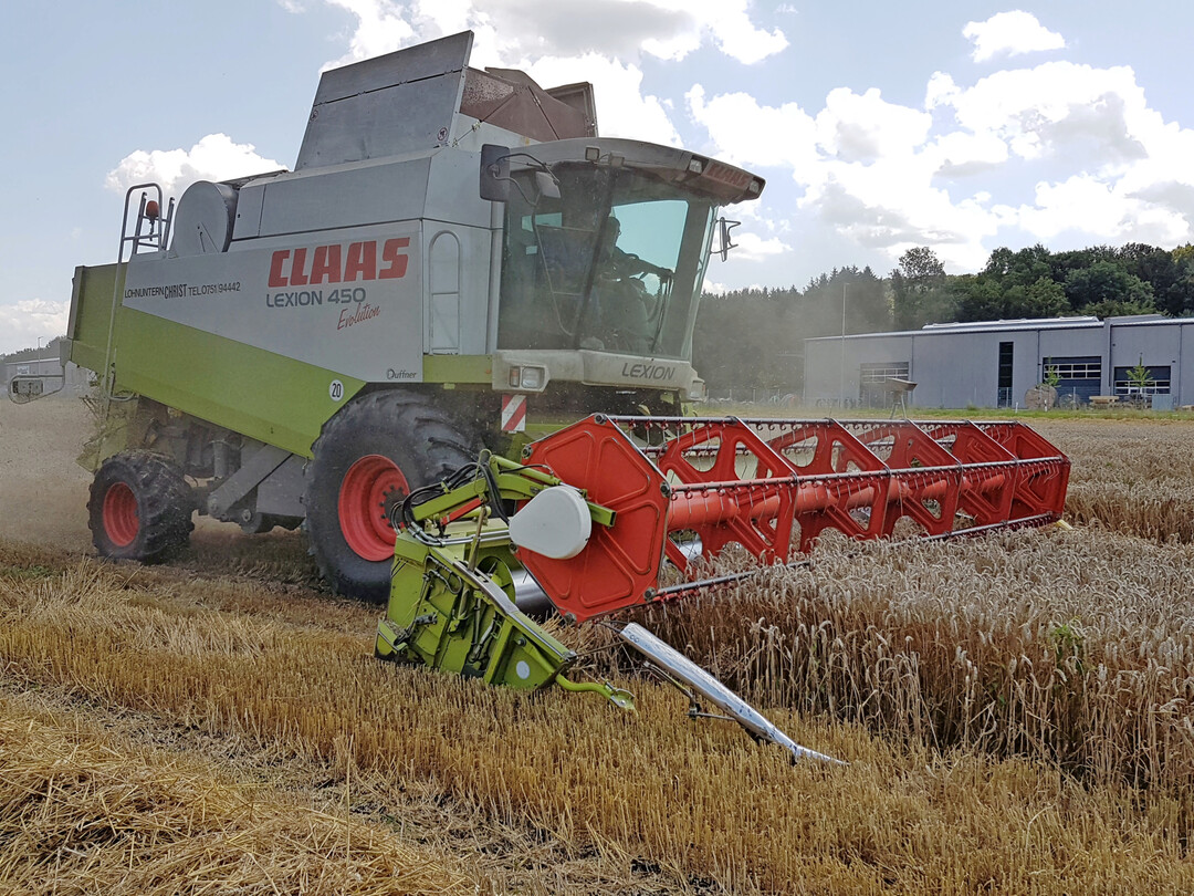 Weizenproduktion auf Rekordniveau: Die weltweiten Lagerbestnde an Weizen werden zum Ende der Saison voraussichtlich zum dritten Mal in Folge zurckgehen und mit 264,7 Millionen Tonnen den niedrigsten Stand seit sieben Jahren erreichen.  