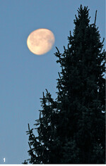 Der Mond als einer der auffälligsten Himmelskörper hat seit Urzeiten die Menschen beschäftigt und wird mit verschiedensten Naturphänomenen in Verbindung gebracht. So werden bei abnehmendem Mond eingeschlagenen Nadelhölzern besondere Eigenschaften zugeschrieben.