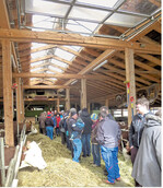 Hell und luftig zeigt sich der Stall von Familie Bähr.