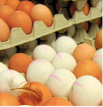 Die Lücke im deutschen Eiermarkt zwischen Angebot und Nachfrage schrumpft und der Selbstversorgungsgrad wächst.