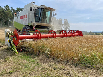 Insgesamt sind die Ertragsaussichten fr die Ernte 2025 in weiten Teilen Europas sehr gnstig. 