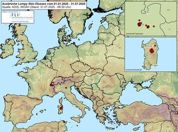 1 Die Rinderseuche breitet sich aus. Das zeigen die vom Friedrich-Loeffler-Institut erfassten Ausbrche von Lumpy Skin Disease vom 1. Januar 2025 bis 24. Juli 2025.