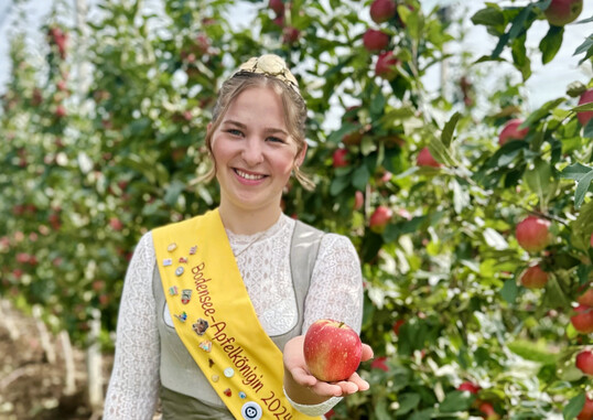 Die Apfelernte am Bodensee fllt in diesem Jahr Schtzungen zufolge um rund zehn Prozent geringer aus als im Vorjahr. Apfelknigin Emelie Witzigmann prsentiert einen Apfel aus der neuen Ernte.
