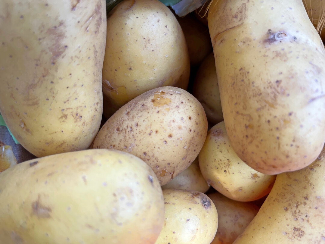 Ruhiger Kartoffelmarkt in Holland: Aufgrund des Stillstands am Markt wurden an den niederlndischen Brsen zuletzt keine Kartoffeln notiert.
