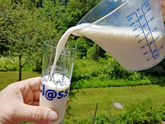 Mit einem Erzeugerpreis von 53,3 Cent pro kg Milch im bundesweiten Schnitt erhielten die Milchviehbetriebe im Juni 2025 rund 7,7 Cent je Kilogramm mehr als zwlf Monate zuvor. 