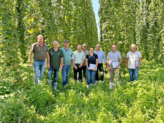 Mit einer leicht unterdurchschnittlichen Hopfenernte fr das Tettnanger Anbaugebiet rechnet die Schtzkommission mit (v. l.) Johann Braun (Vetreter des Hopfenhandels Firma BarthHaas), Elmar Marschall (Vetreter des Hopfenhandels Firma BarthHaas), Wolfgang Ruther (Vorsitzender Hopfenpflanzerverband Tettnang), Florian Fritsch (Vertreter des Hopfenhandels Firma Hopsteiner), Bernhard Bentele (2. Stellvertretender Vorsitzender Hopfenpflanzerverband Tettnang), Teresa Locher (Geschftsfhrerin Hopfenpflanzerverband Tettnang), Andreas Schwarz (Vertreter Baden-Wrttembergischer Brauerbund), Walter Knig (Geschftsfhrer Bayerischer Brauerbund) und Gabriel Bader ( Landwirtschaftsamt Friedrichshafen).
