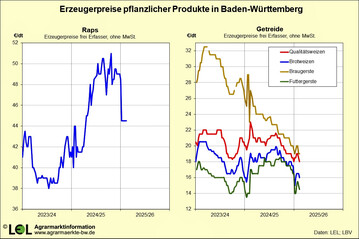 Der Druck auf die Preise ist hoch: Beim Weizen wirken sich der starke Euro und die guten Ernten weltweit aus.