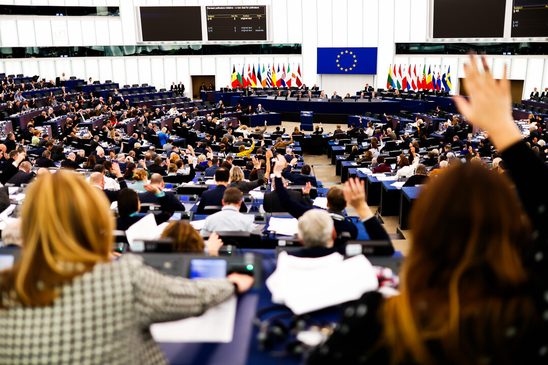 Abstimmung im EU-Parlament