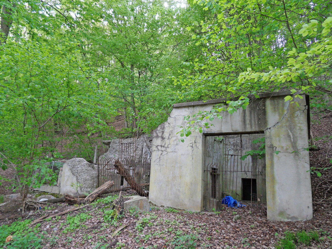<b>Sonderpreis "Kleindenkmale":</b>
 In Ihrer, auch fr Nichtfachleute spannend zu lesenden archologischen Masterarbeit hat Helen Kapeller aus Tbingen mit dem Zoologischen Garten am Tbinger Spitzberg ein recht ungewhnliches Relikt einer historischen Landnutzung anhand von  recherchierten Daten und der im Gelnde vorhandenen baulichen und gestalterischen Reste digital rekonstruiert und sich mit den zeitgeschichtlichen Bezgen auseinandergesetzt. In der Zeit seiner Existenz zu Beginn des 20. Jh. als Tbingens grte Sehenswrdigkeit angesehen, ist der Tbinger Tiergarten heute nahezu vollstndig aus dem ffentlichen Bewusstsein verschwunden.