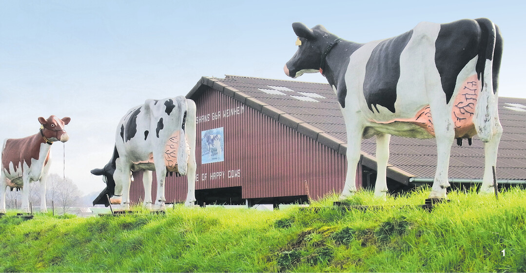 Ein positives Bild ihres Milchviehbetriebes nach außen tragen, wollen Günter Großhans und seine Familie mit den vor dem Hof postierten Modellkühen und dem Slogan „Home of happy cows"