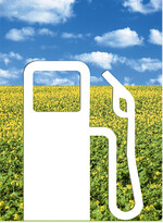 Der wichtigste Markt für heimisches Rapsöl ist Biodiesel. Weil Drittländer derzeit Billig-Biodiesel in die EU verkaufen können, ist der Absatzweg zunehmend verstopft.