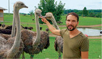 Wolfgang Schmid zeigt, dass die Schnäbel der Straußen harmlos sind.
