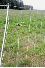 Zum Schutz vor dem Wolf muss der Zaun nicht nur genügend Höhe aufweisen, sondern auch ausreichend unter Strom stehen. Entscheidend dafür ist vor allem eine gute Erdung.