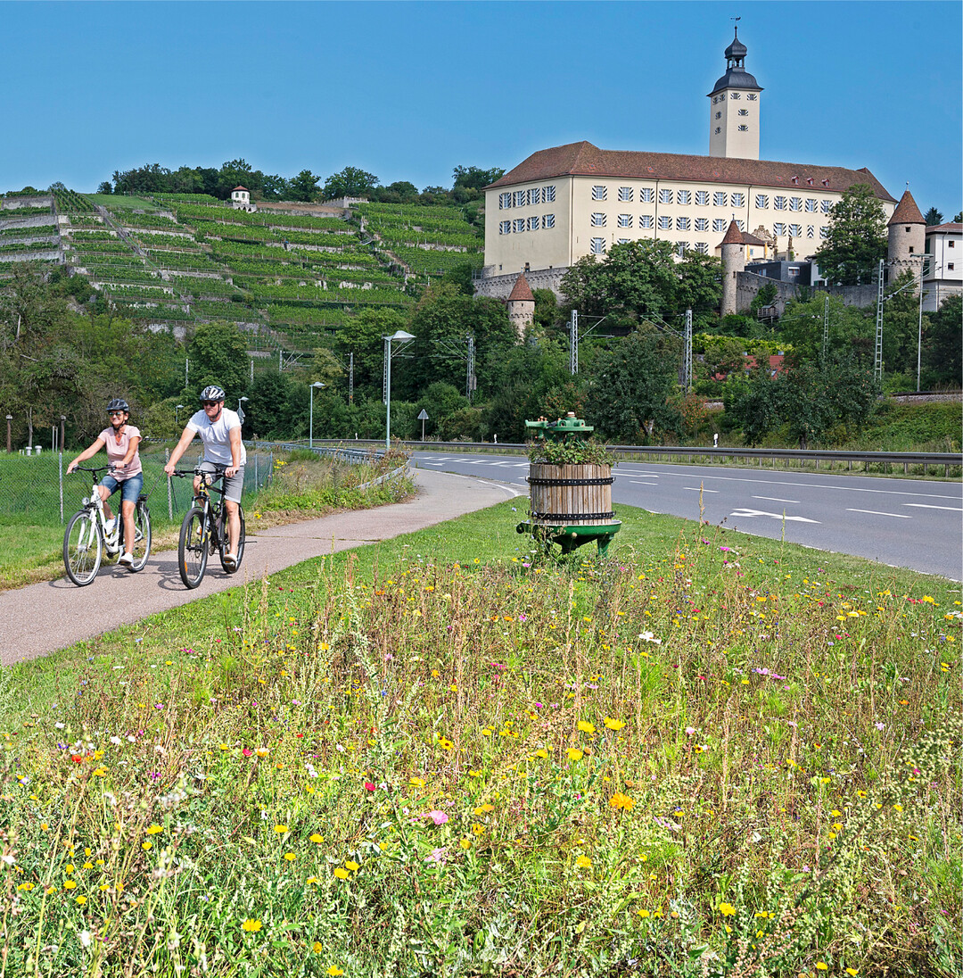 Radelnd zu Ritterburgen und Residenzen Kaum ein anderes Bundesland ist so reich an Burgen und Schlössern wie Baden-Württemberg. Fans von mittelalterlichen Ritterdomizilen und barocken Herrschersitzen werden auf dem Radweg Burgenstraße" zwischen Mannheim und Kirchberg an der Jagst in Begeisterungsrufe ausbrechen. Entlang der Ferienstraße am Neckar reiht sich eine historische Sehenswürdigkeit an die andere wie hier Schloss Horneck in Gundelsheim im Landkreis Heilbronn. Wer die alten Gemäuer nicht nur von außen oder bei einer Führung bestaunen möchte, kehrt in einem der Burg- und Schlosshotels ein oder übernachtet gleich dort. Allerdings ist eine gute Kondition Voraussetzung, da Herrschersitze naturgemäß meist auf Anhöhen liegen. Auch darüber hinaus bietet der Radweg ein paar kräftige Steigungen, etwa in Hohenlohe. Etwas weniger Muskelkraft ist hingegen im Neckartal gefordert, wo der Radweg noch relativ flach verläuft. TMBW