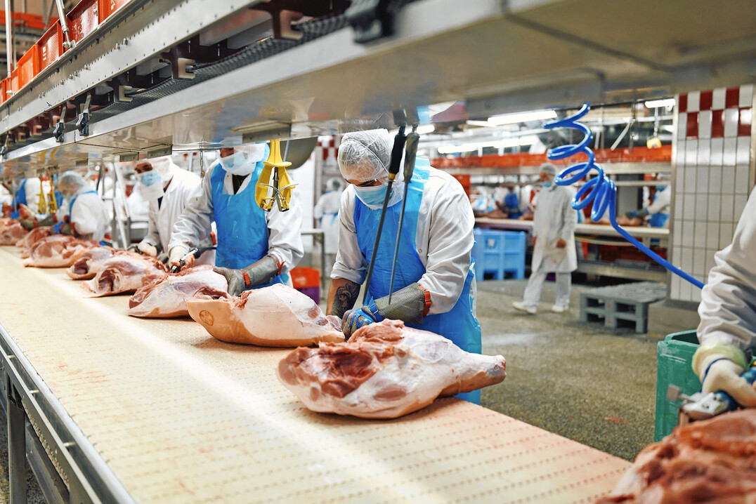 Produktion bei Deutschlands größtem Fleischvermarkter Tönnies.
