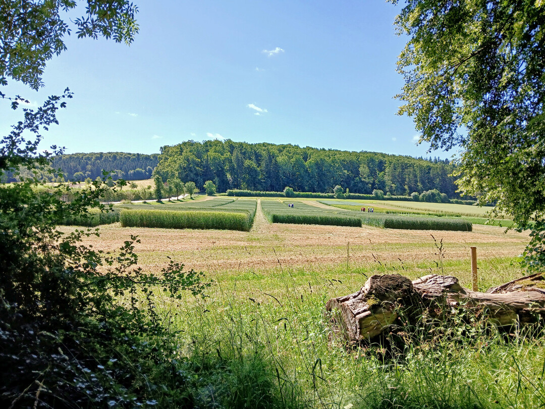 Die schwchsten Fallzahlen verzeichnete unter anderem der Standort St. Johann (klassisches Sortiment Durchschnitt 202 Sekunden). 