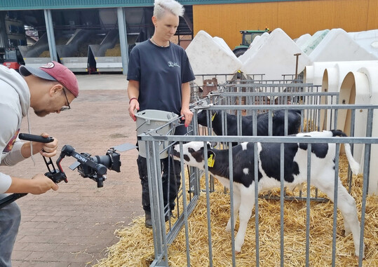 Die i.m.a  information.medien.agrar e. V. bietet jetzt in einem Filmprojekt EinSichten in die Tierhaltung.