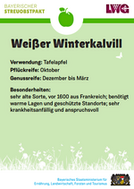 Beispiel: Sortenschild Weißer Winterkalvill