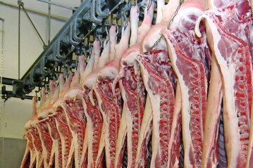 China lsst gren: Viele EU-Schweinehalter bekommen weniger Geld fr ihre Schlachttiere.